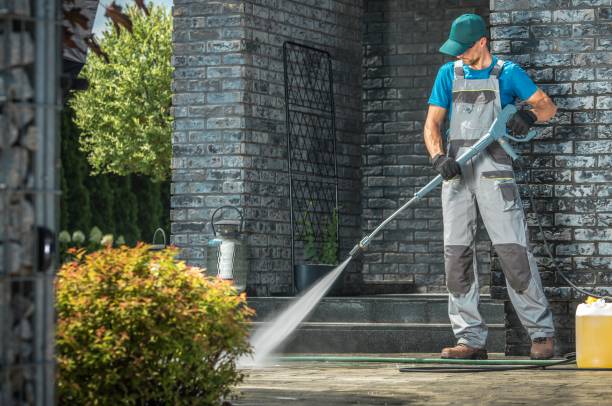Animal Enclosure Cleaning in Wise, VA
